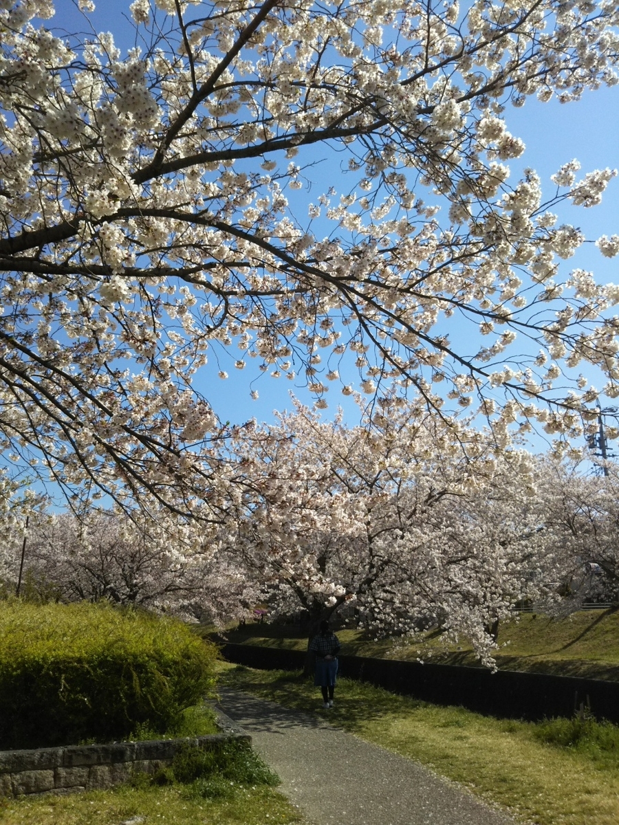 f:id:hirotaka72:20190413094543j:plain