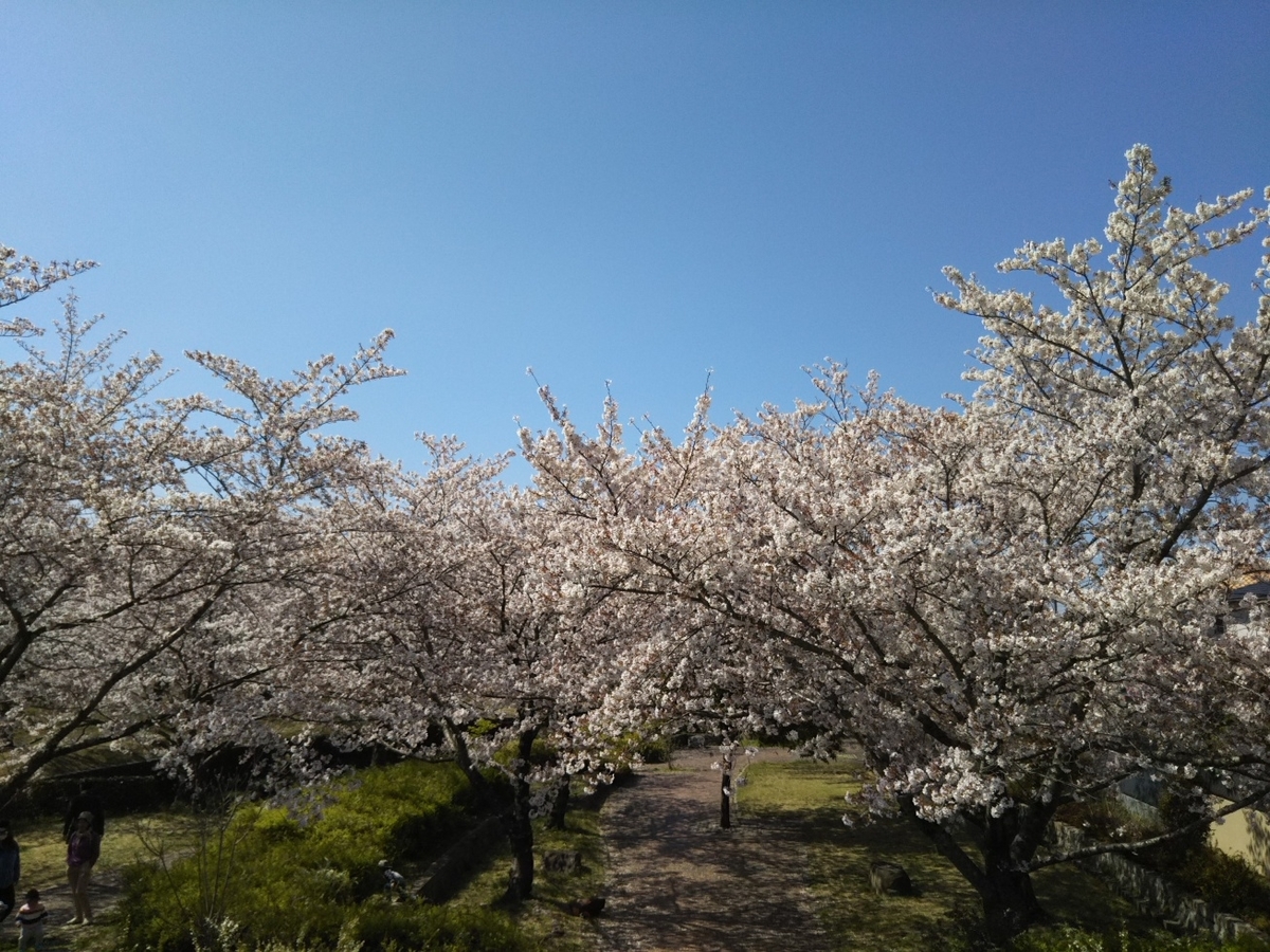 f:id:hirotaka72:20190413094822j:plain