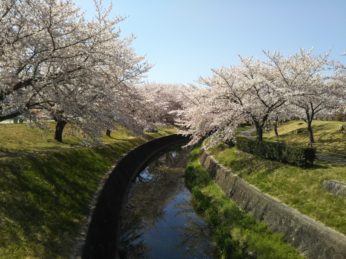 f:id:hirotaka72:20190413095304j:plain