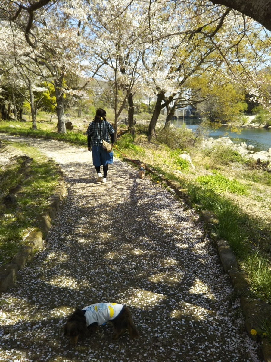 f:id:hirotaka72:20190413104827j:plain