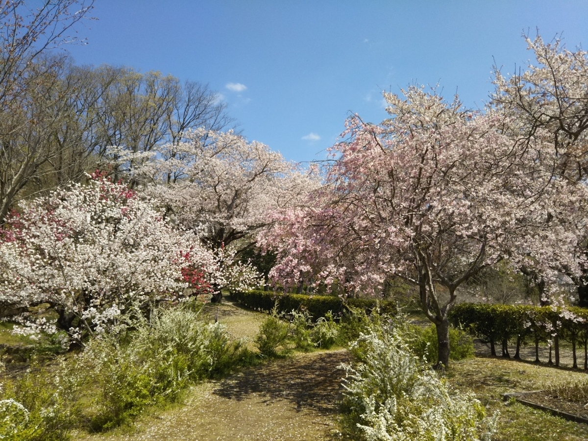 f:id:hirotaka72:20190413110244j:plain