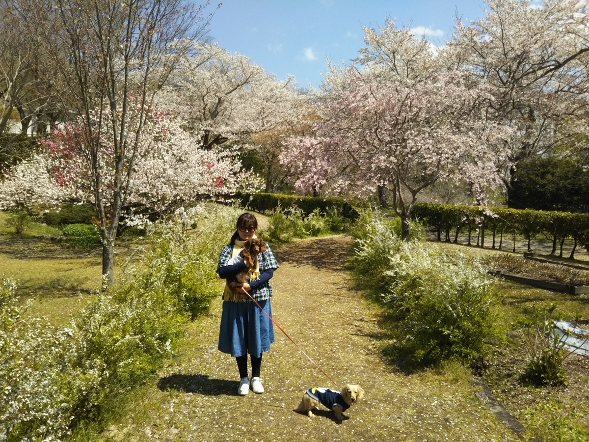 f:id:hirotaka72:20190413110317j:plain