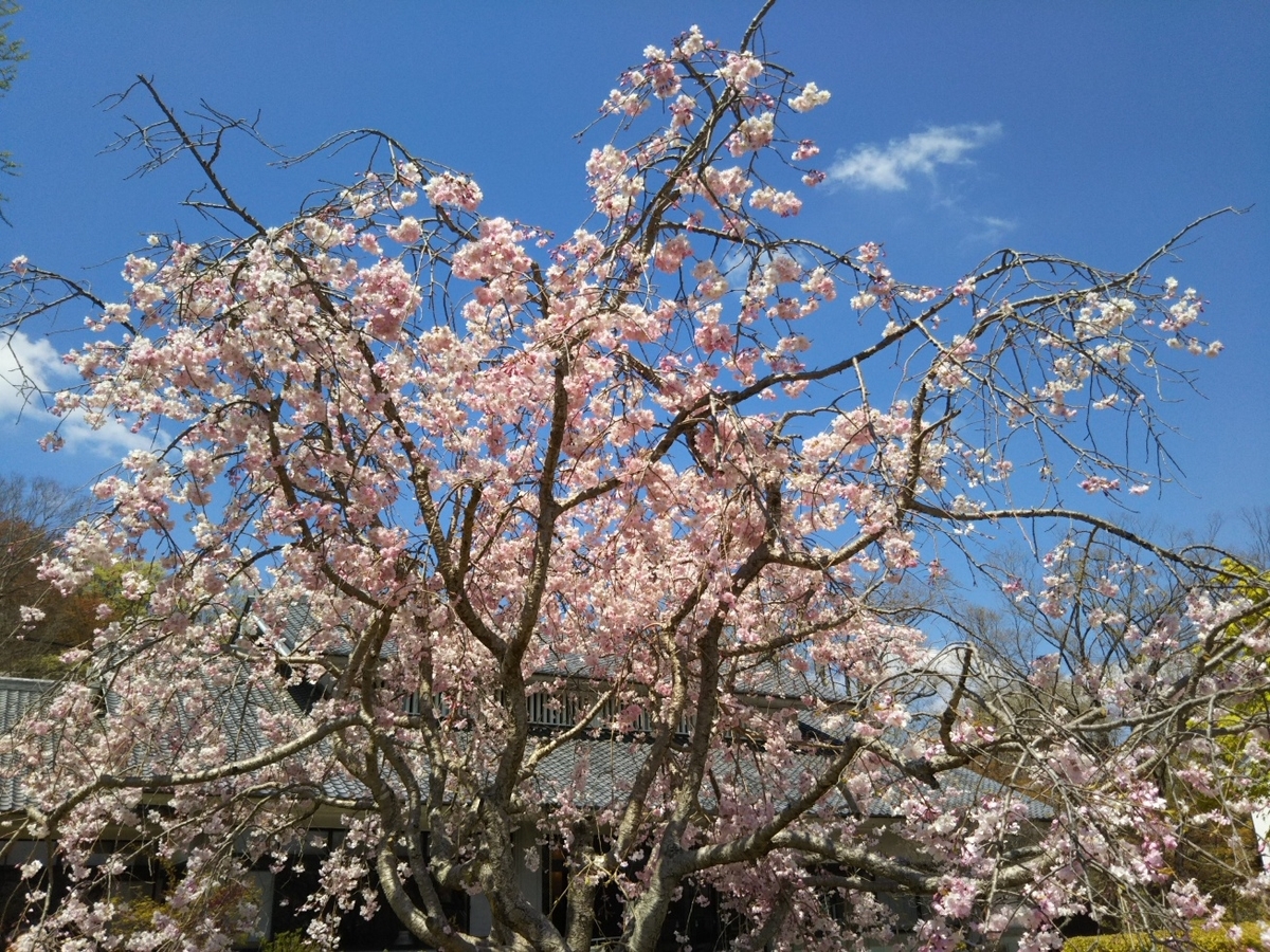 f:id:hirotaka72:20190413110439j:plain