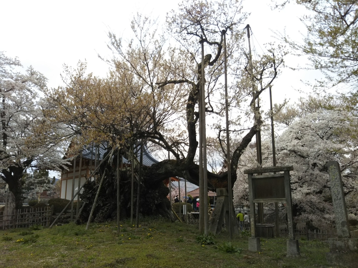 f:id:hirotaka72:20190414142716j:plain