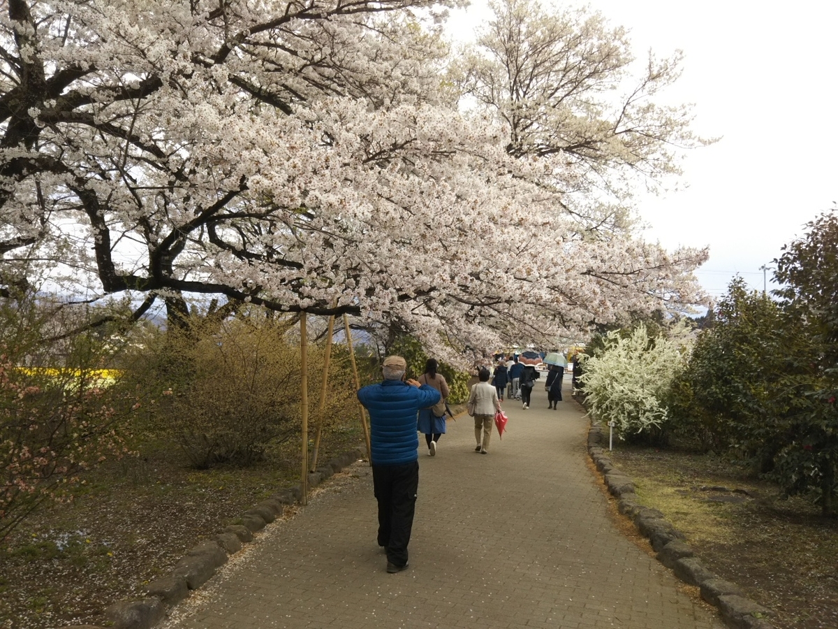 f:id:hirotaka72:20190414142814j:plain