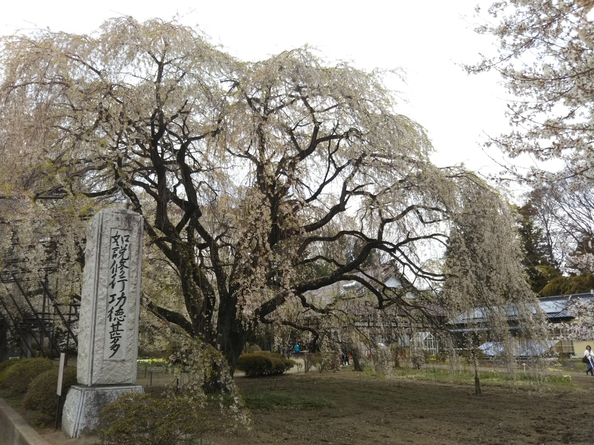 f:id:hirotaka72:20190414143152j:plain