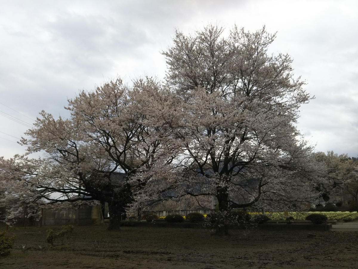 f:id:hirotaka72:20190414143445j:plain