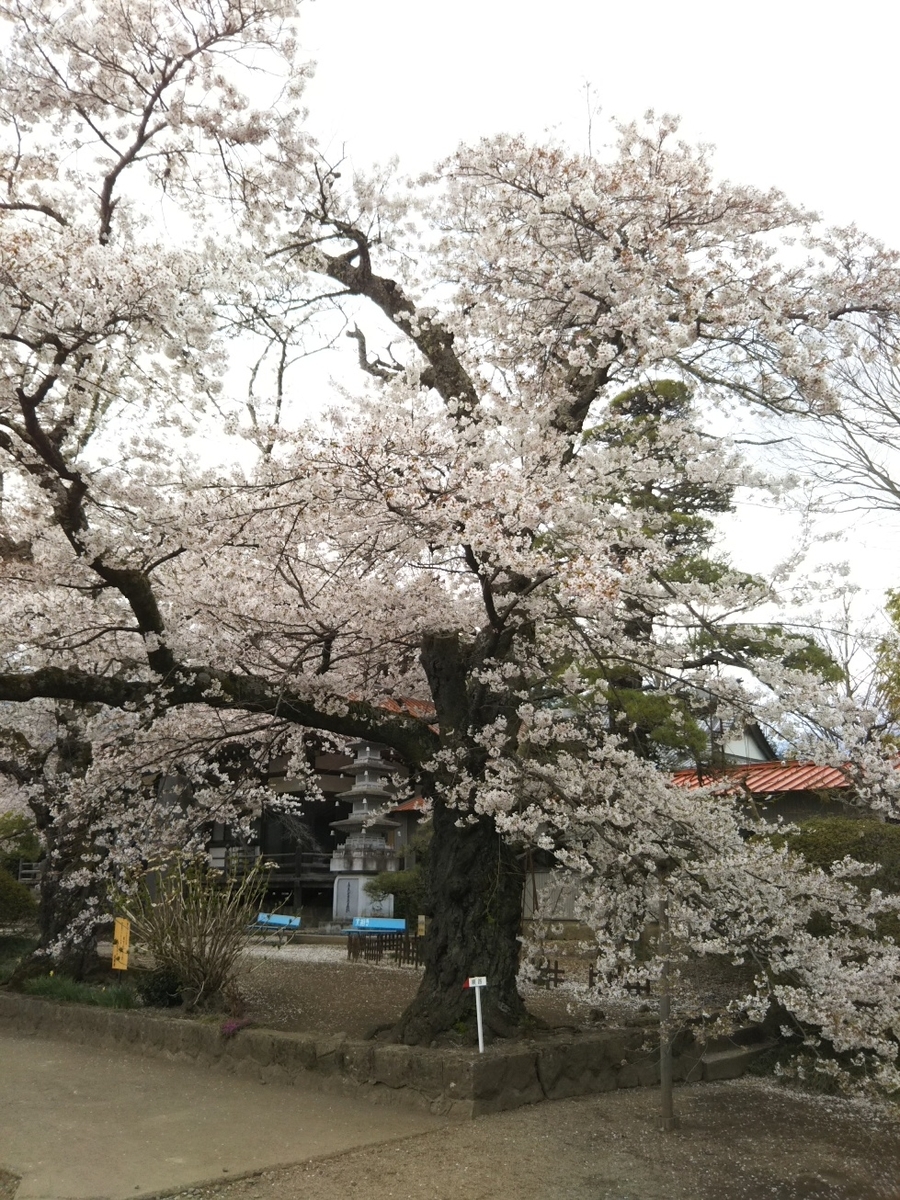 f:id:hirotaka72:20190414143637j:plain