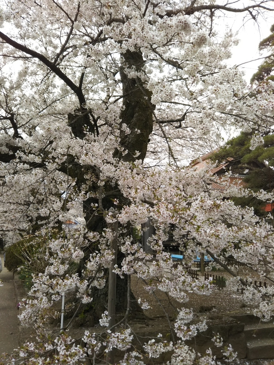 f:id:hirotaka72:20190414143701j:plain