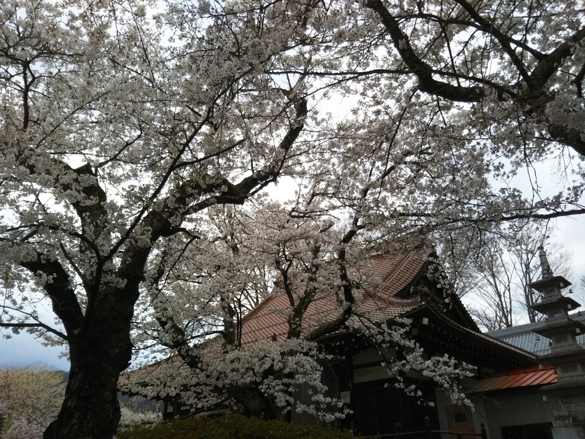 f:id:hirotaka72:20190414143827j:plain