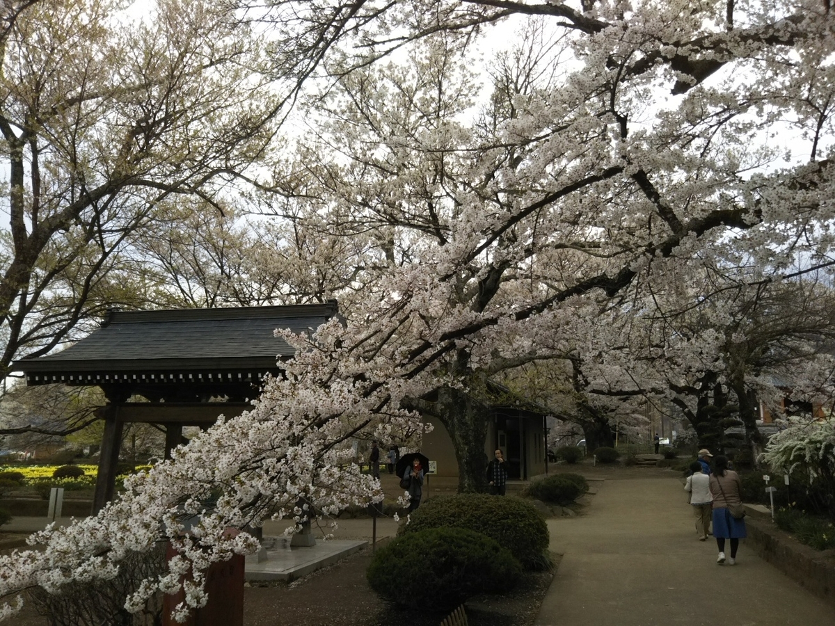 f:id:hirotaka72:20190414143842j:plain