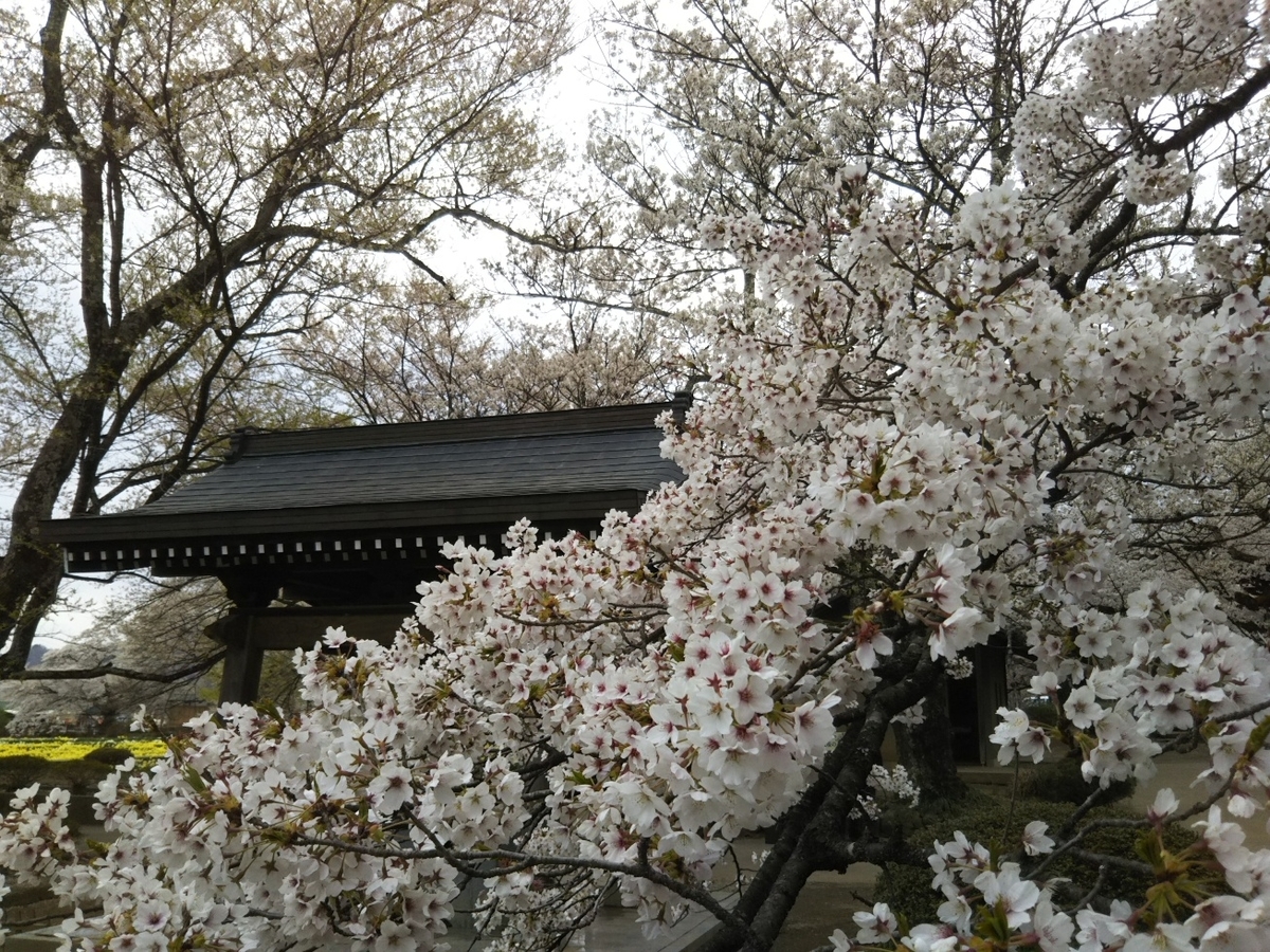 f:id:hirotaka72:20190414143902j:plain