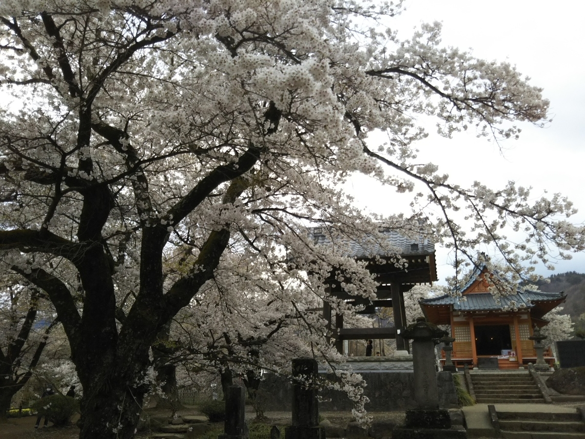 f:id:hirotaka72:20190414144420j:plain