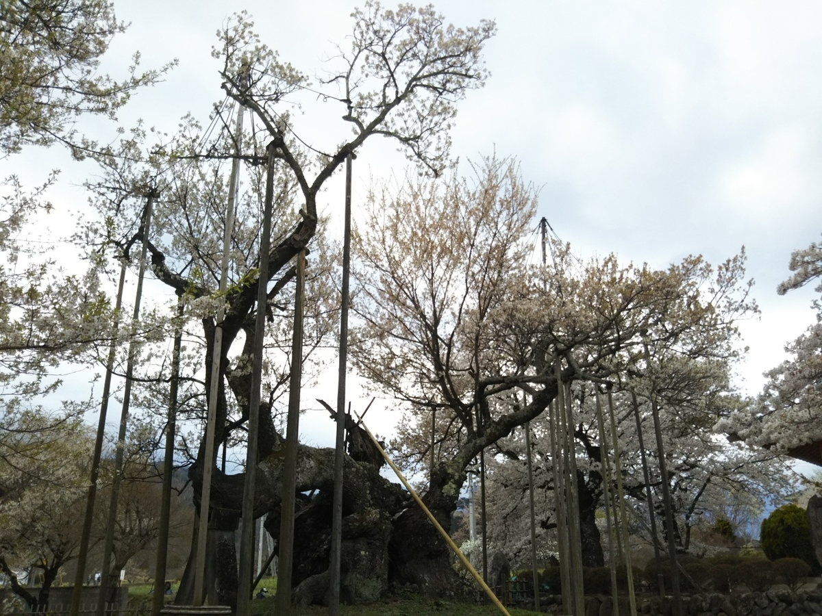 f:id:hirotaka72:20190414144547j:plain
