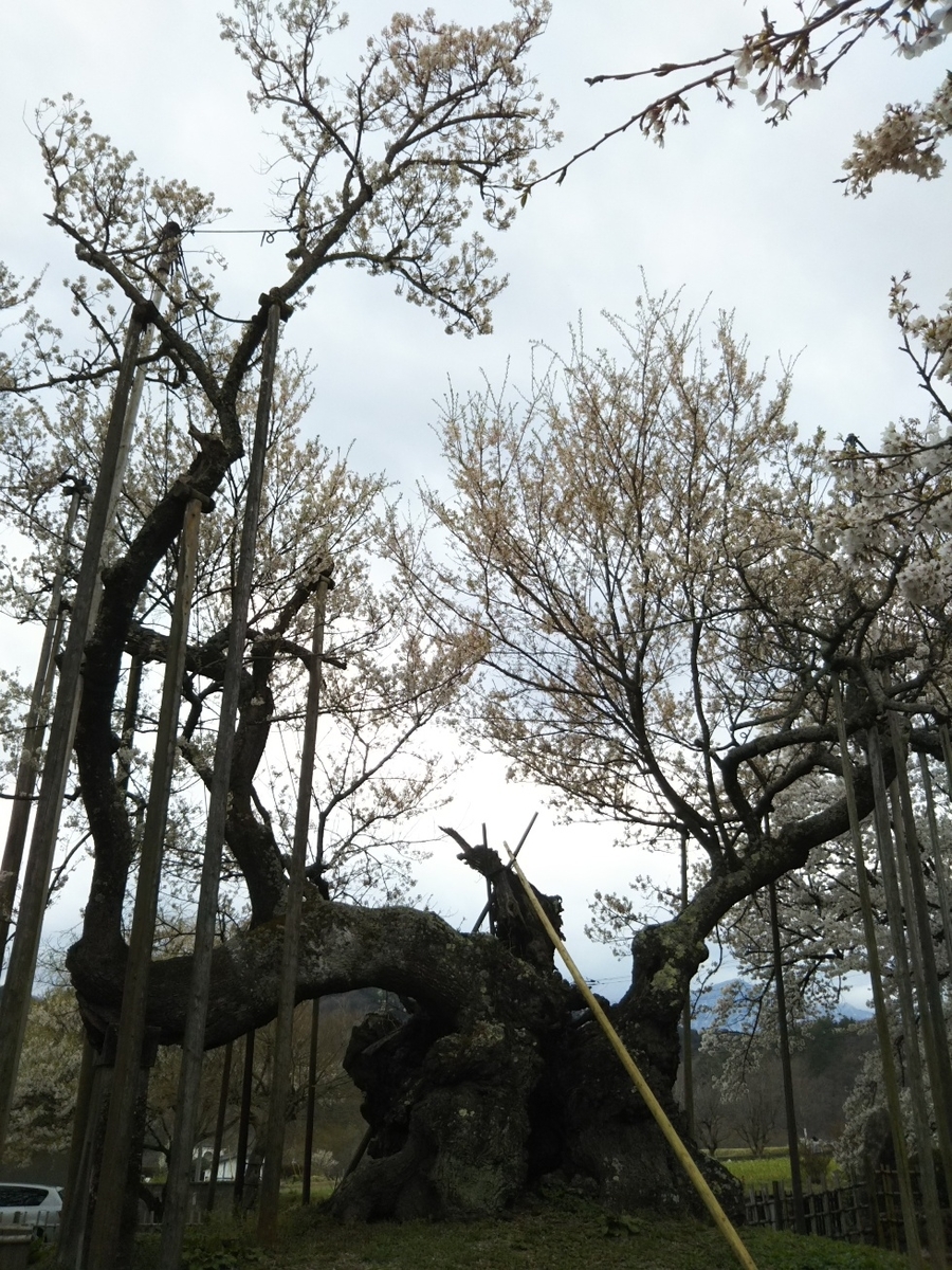 f:id:hirotaka72:20190414144636j:plain