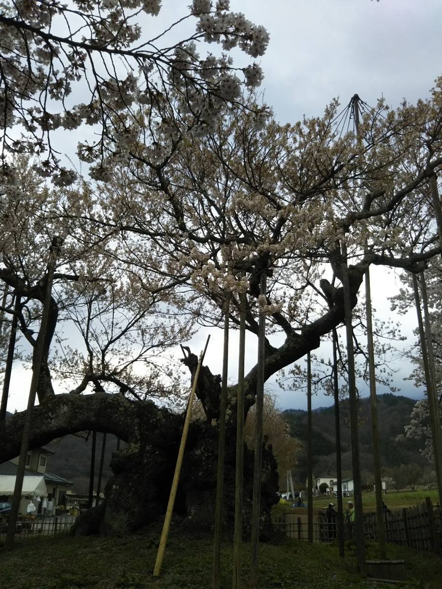 f:id:hirotaka72:20190414144700j:plain