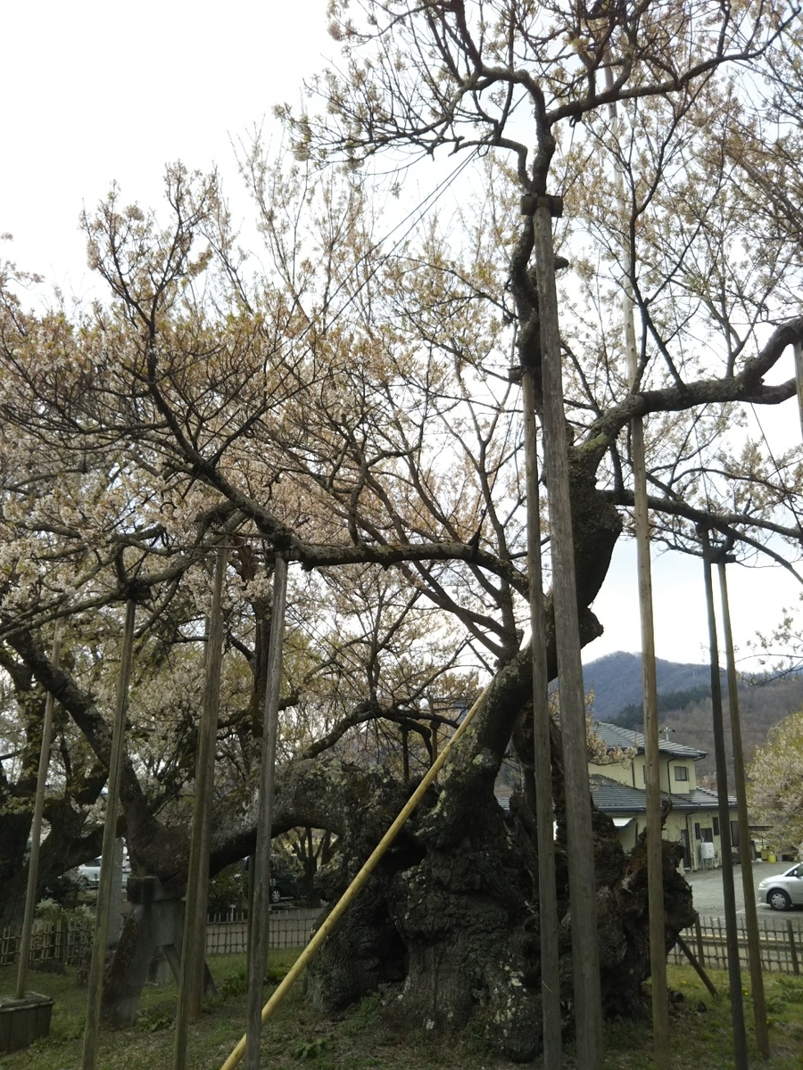 f:id:hirotaka72:20190414144852j:plain