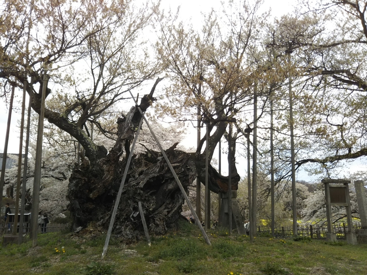 f:id:hirotaka72:20190414145206j:plain