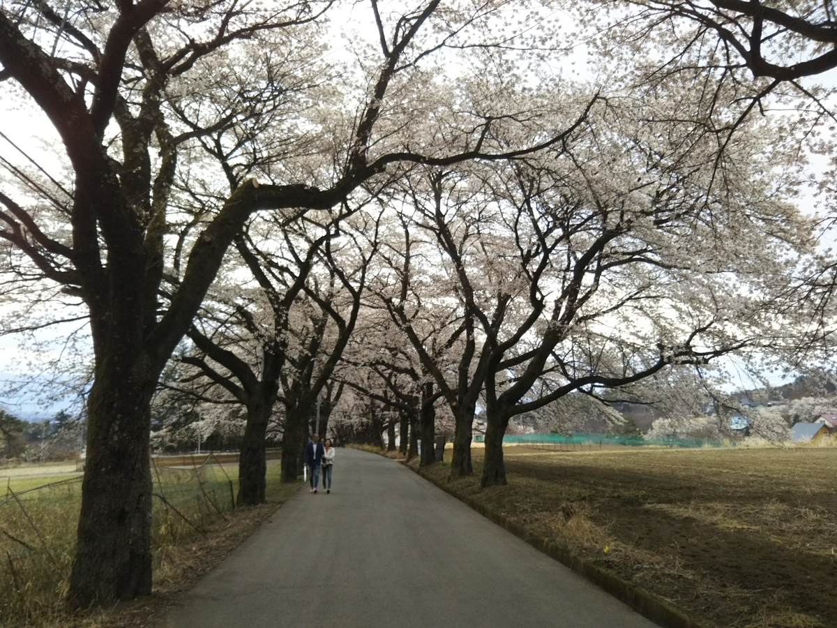 f:id:hirotaka72:20190414150722j:plain