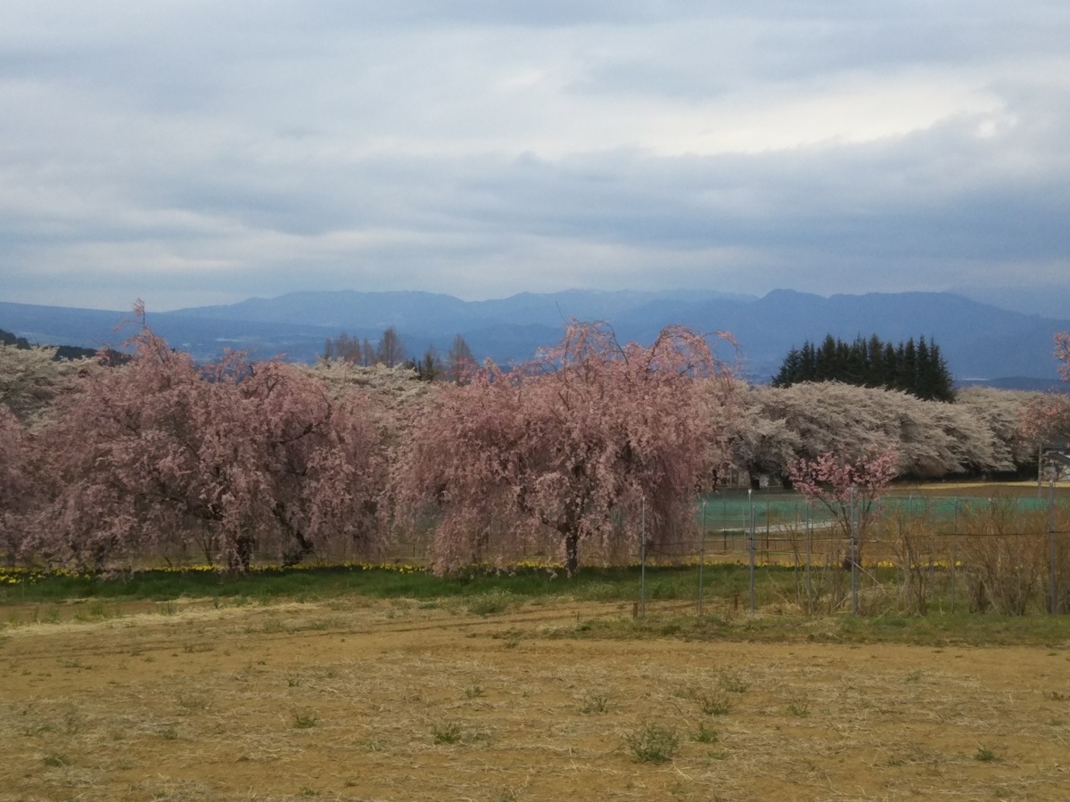 f:id:hirotaka72:20190414151618j:plain