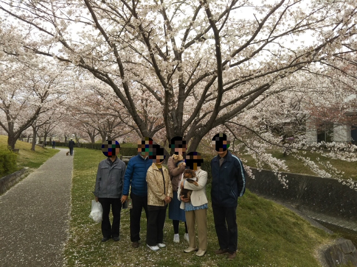 f:id:hirotaka72:20190415214457j:plain
