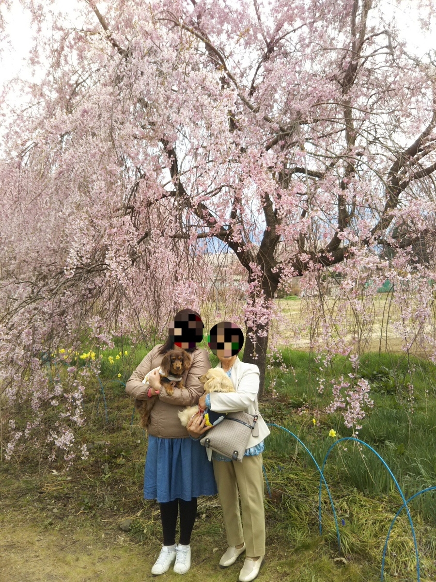 f:id:hirotaka72:20190415223011j:plain