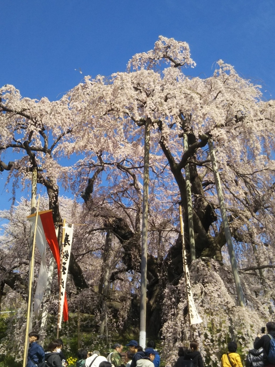 f:id:hirotaka72:20190420093049j:plain f:id:hirotaka72:20190420093049j:plain