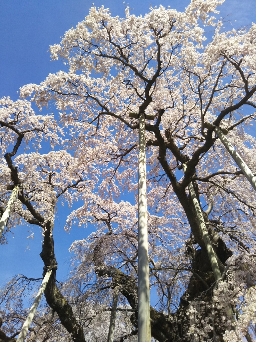 f:id:hirotaka72:20190420093159j:plain f:id:hirotaka72:20190420093159j:plain