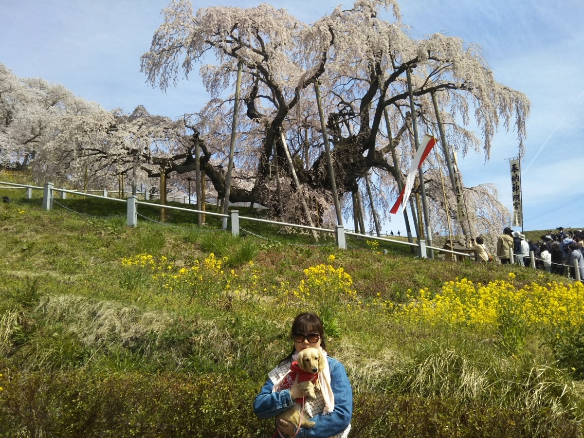 f:id:hirotaka72:20190420095035j:plain f:id:hirotaka72:20190420095035j:plain