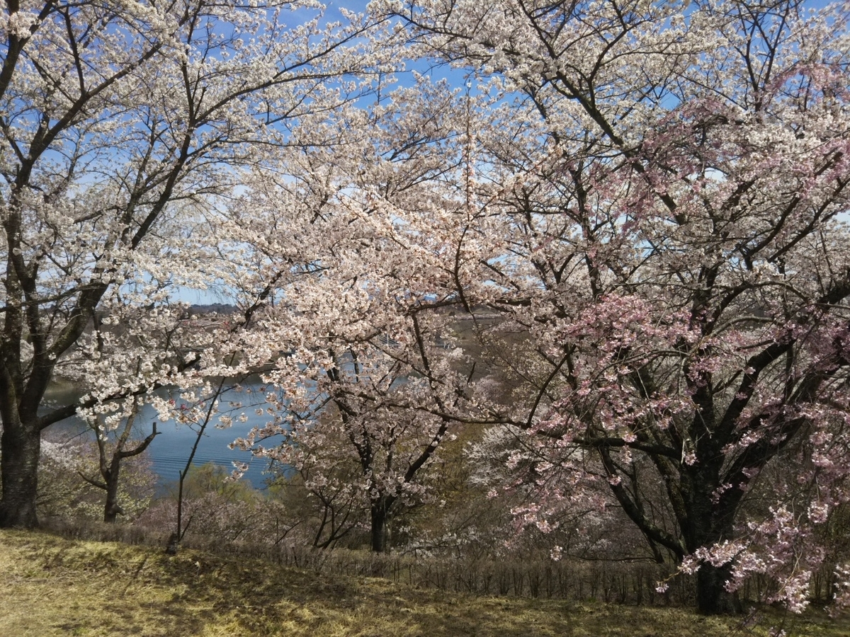 f:id:hirotaka72:20190420105531j:plain f:id:hirotaka72:20190420105531j:plain