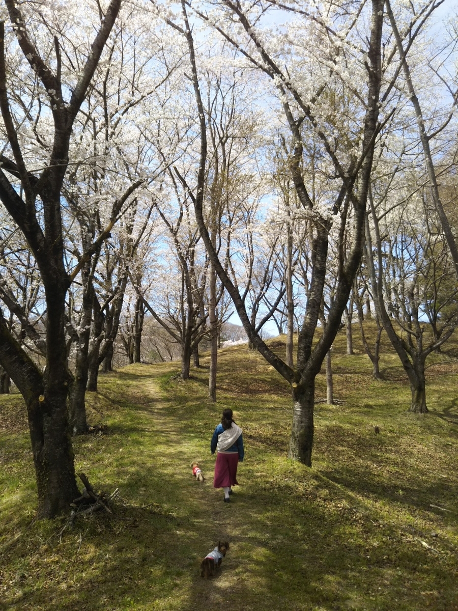 f:id:hirotaka72:20190420110457j:plain f:id:hirotaka72:20190420110457j:plain