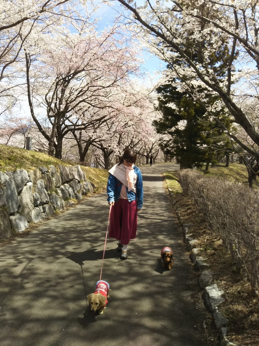 f:id:hirotaka72:20190420110956j:plain f:id:hirotaka72:20190420110956j:plain