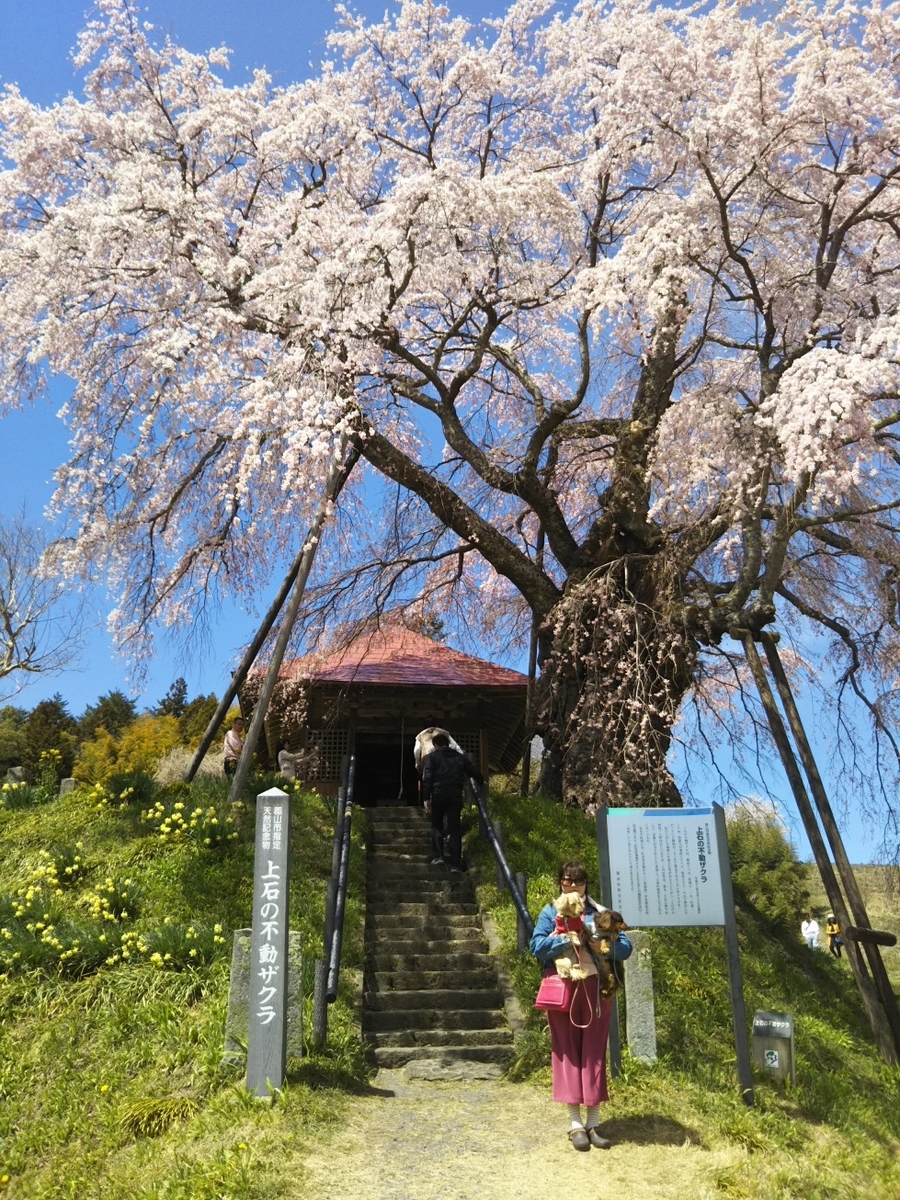 f:id:hirotaka72:20190420113350j:plain f:id:hirotaka72:20190420113350j:plain
