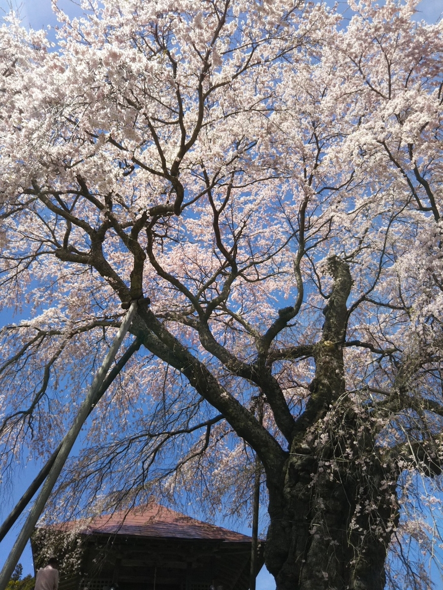 f:id:hirotaka72:20190420113412j:plain f:id:hirotaka72:20190420113412j:plain