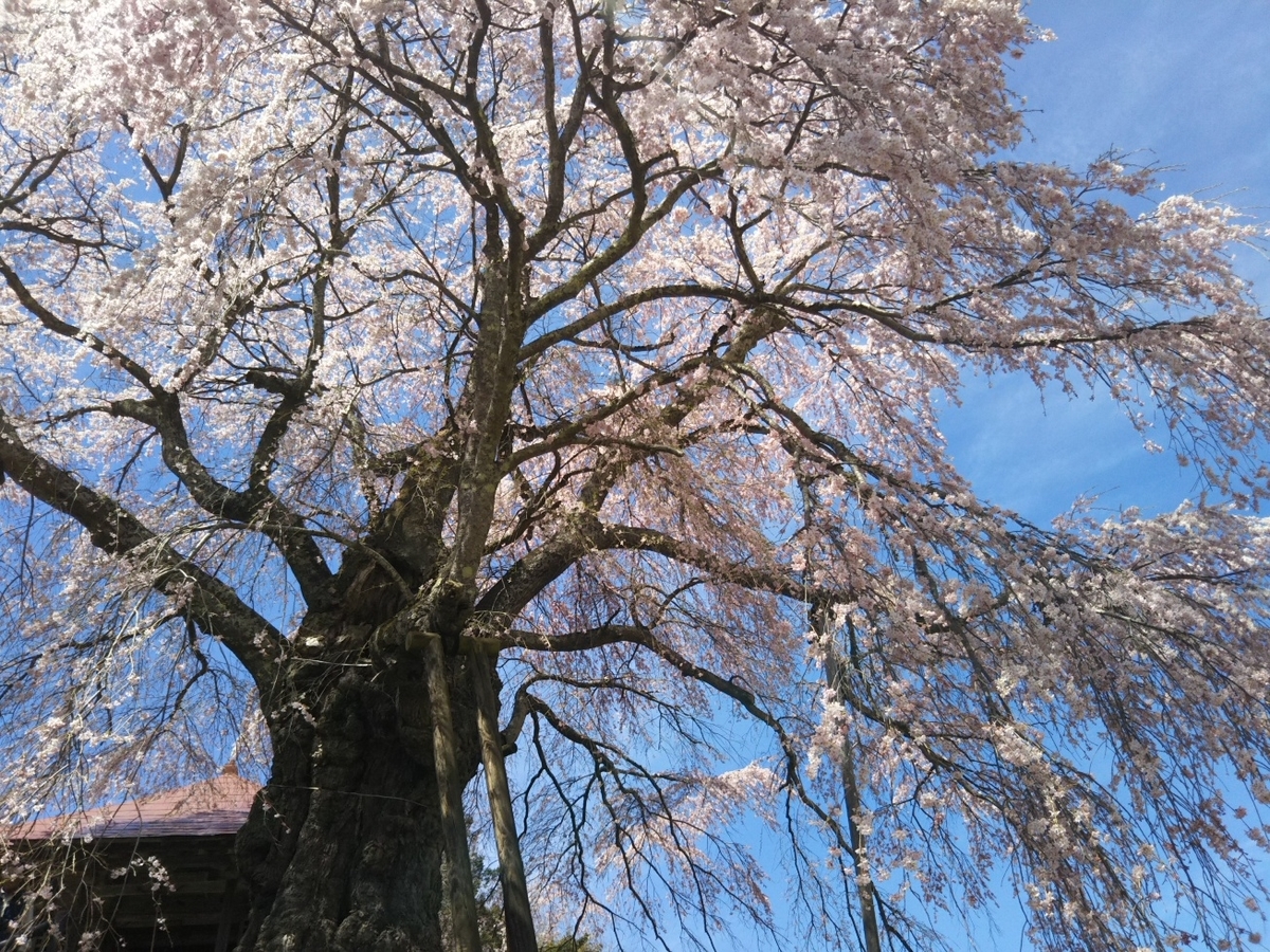 f:id:hirotaka72:20190420113749j:plain f:id:hirotaka72:20190420113749j:plain