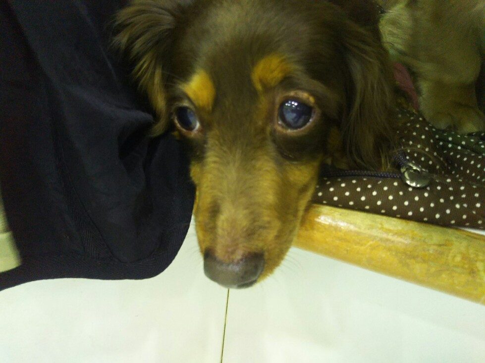 f:id:hirotaka72:20190422194923j:plain