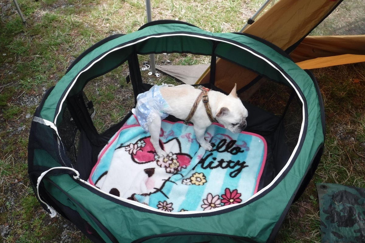 f:id:hirotaka72:20190427090504j:plain f:id:hirotaka72:20190427090504j:plain