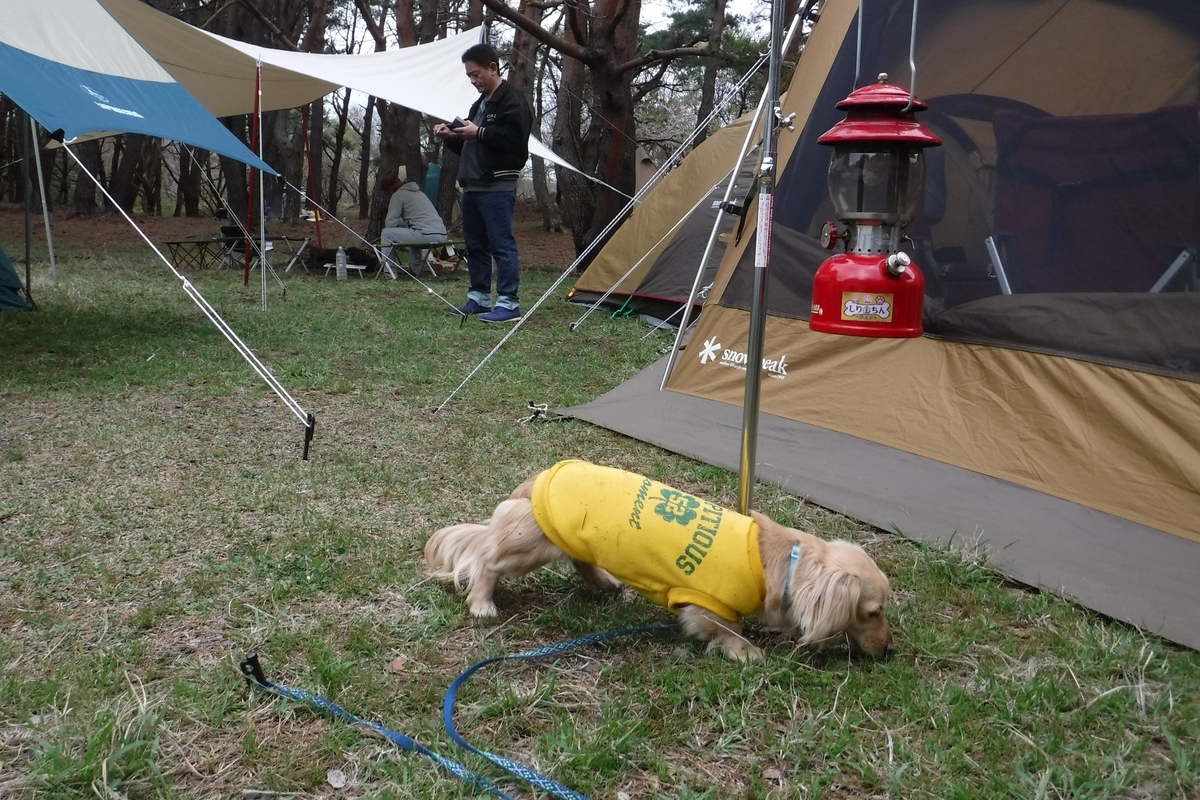 f:id:hirotaka72:20190427101226j:plain f:id:hirotaka72:20190427101226j:plain