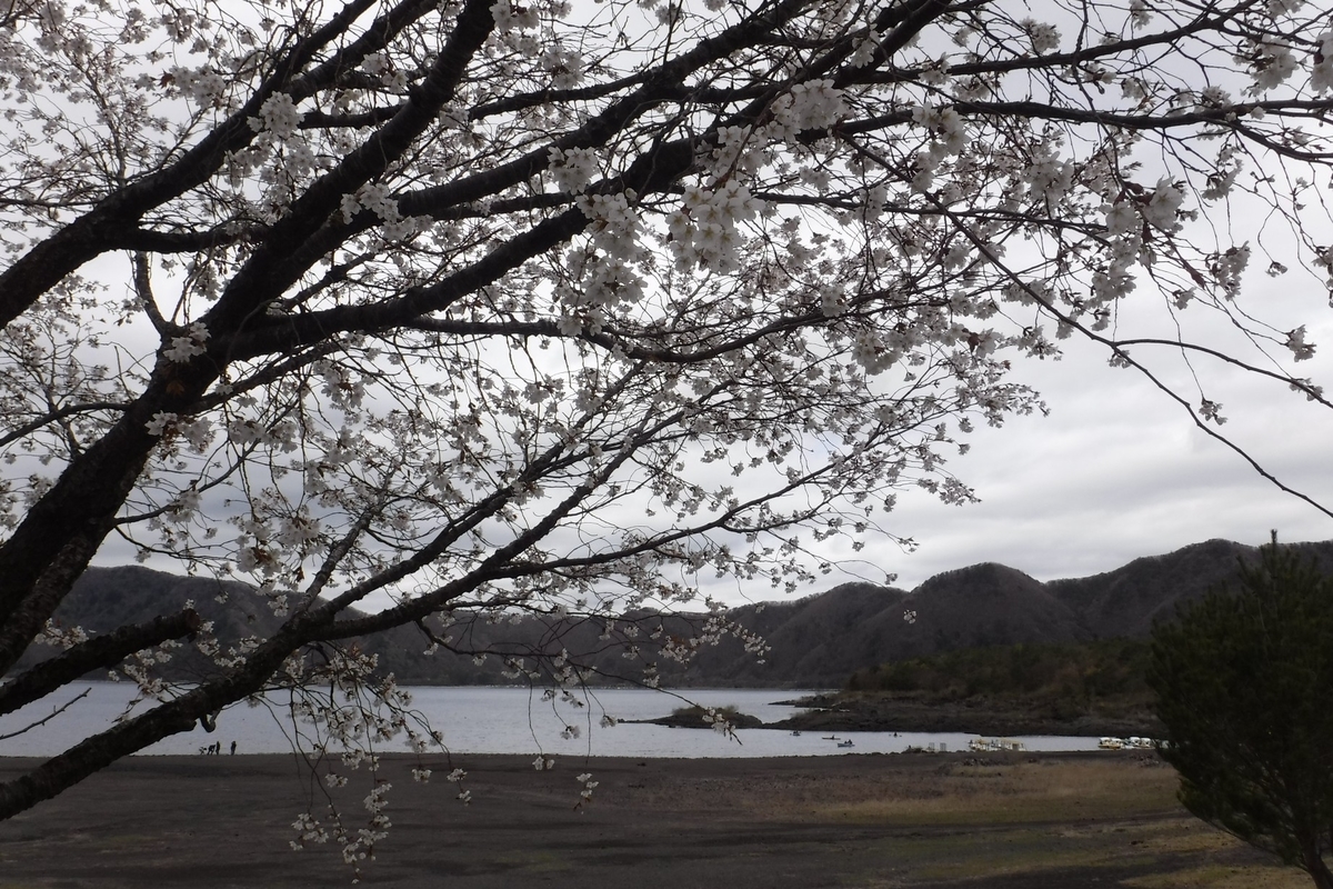 f:id:hirotaka72:20190427102121j:plain f:id:hirotaka72:20190427102121j:plain
