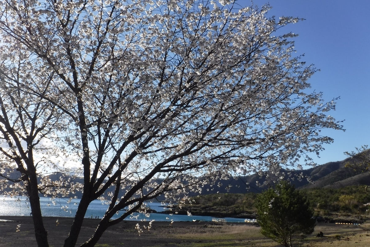 f:id:hirotaka72:20190427162005j:plain f:id:hirotaka72:20190427162005j:plain