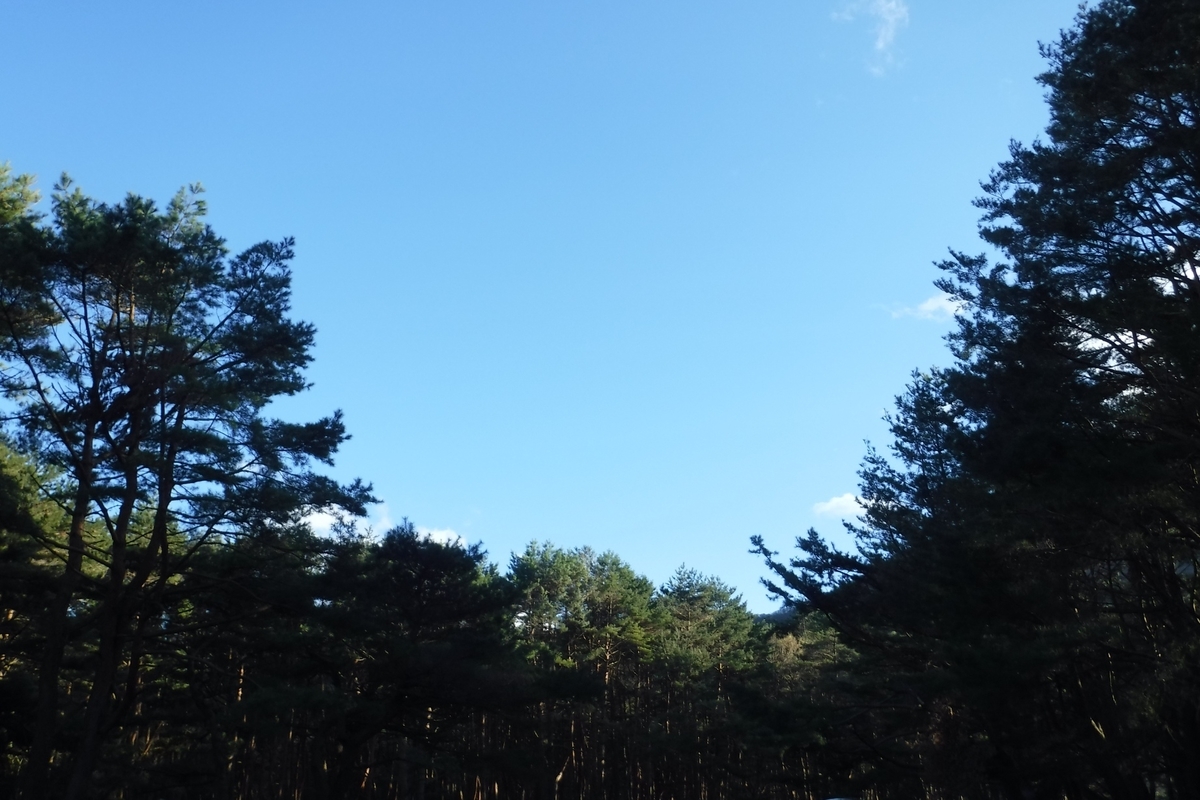 f:id:hirotaka72:20190427171652j:plain f:id:hirotaka72:20190427171652j:plain