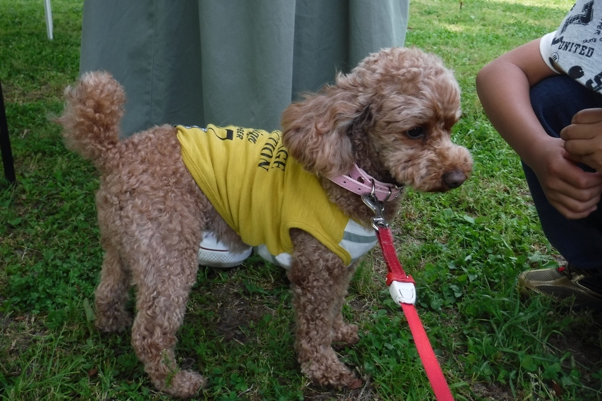 f:id:hirotaka72:20190505093435j:plain f:id:hirotaka72:20190505093435j:plain