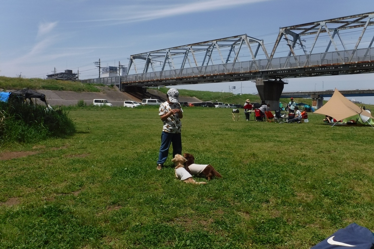 f:id:hirotaka72:20190505111621j:plain f:id:hirotaka72:20190505111621j:plain