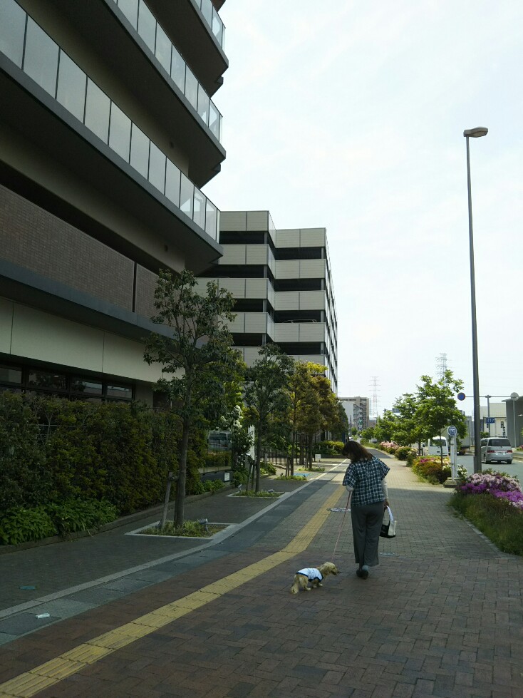 f:id:hirotaka72:20190511114730j:plain