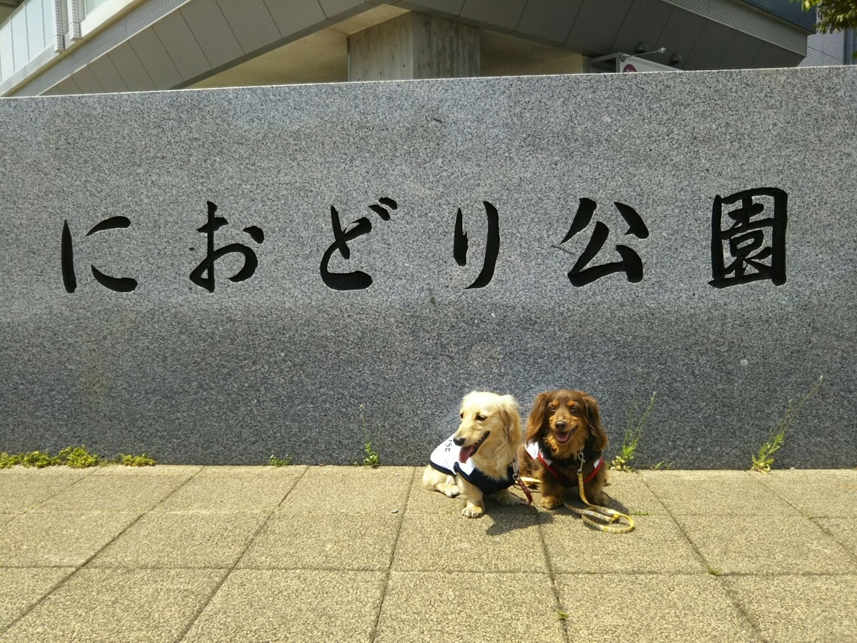 f:id:hirotaka72:20190511115408j:plain