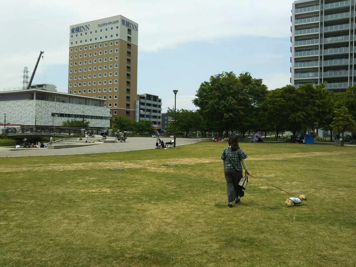f:id:hirotaka72:20190511121247j:plain