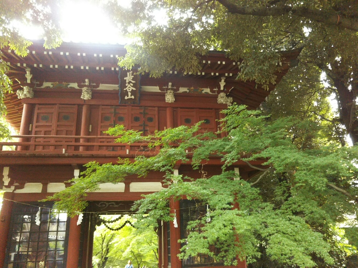 f:id:hirotaka72:20190608112219j:plain