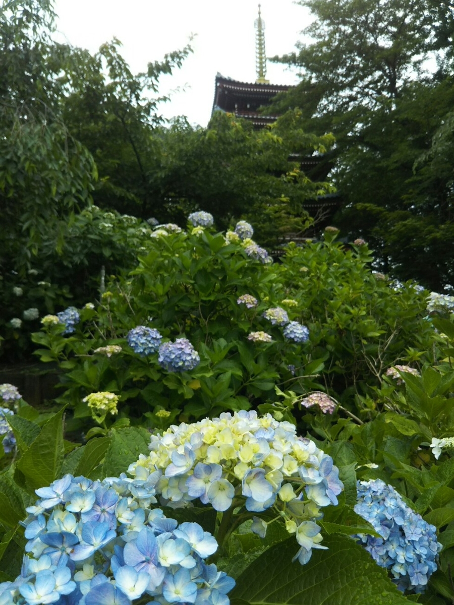 f:id:hirotaka72:20190608112554j:plain f:id:hirotaka72:20190608112554j:plain