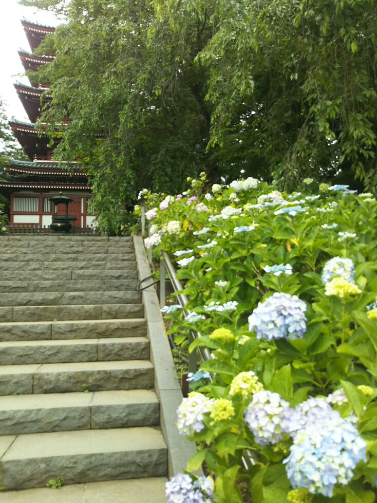 f:id:hirotaka72:20190608112627j:plain f:id:hirotaka72:20190608112627j:plain