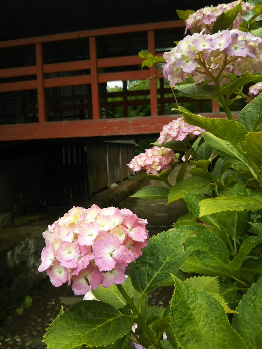f:id:hirotaka72:20190608115204j:plain f:id:hirotaka72:20190608115204j:plain